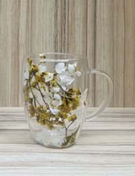 Afișați detaliile pentru Cana sticla termorezistenta dubla cu flori in interior, 350ml Anna Imagine de Cana sticla termorezistenta dubla cu flori in interior, 350ml Anna